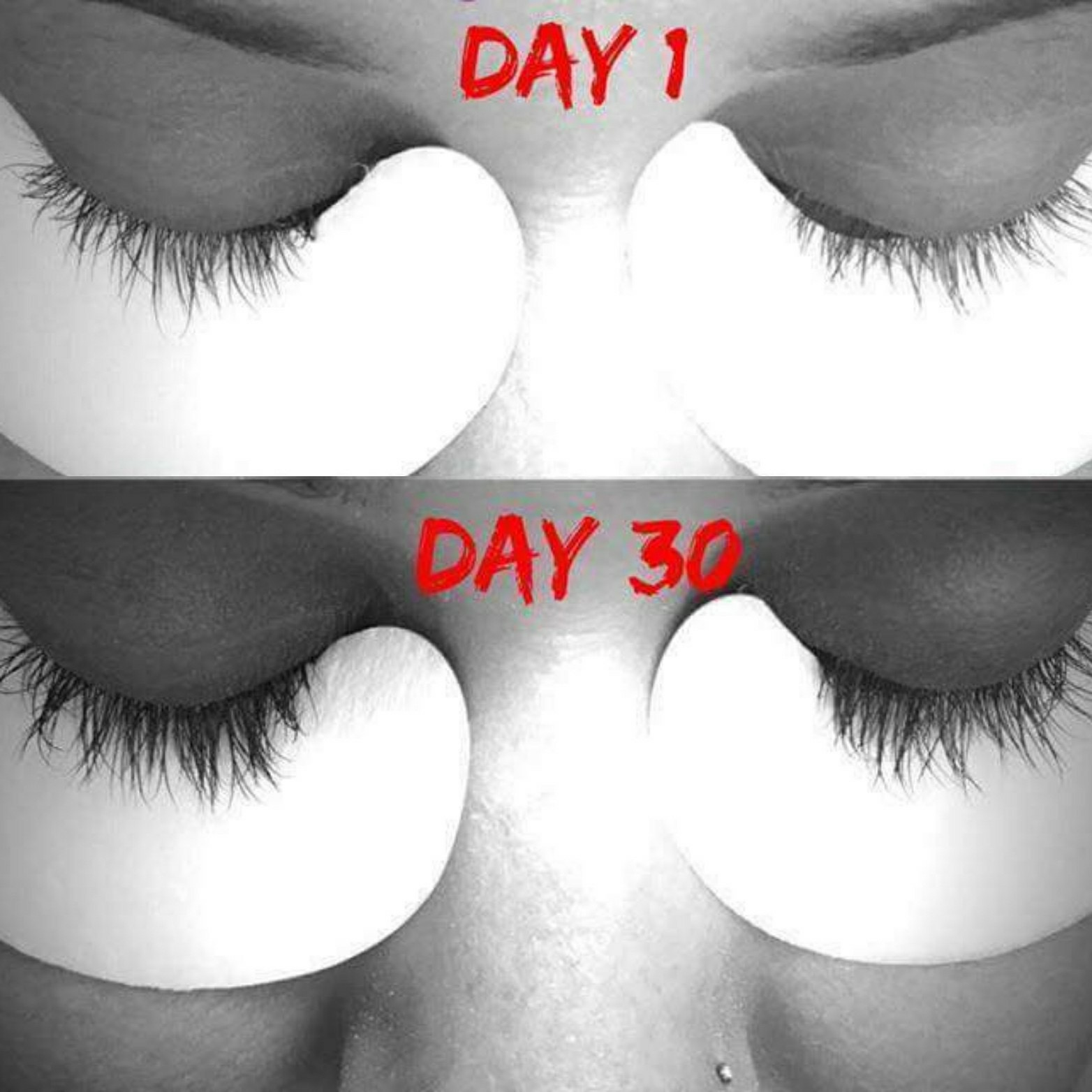 8F470664 3D28 4F01 AA39 8334F1A80815