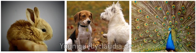 Younique tierversuchsfrei vegan glutenfrei crueltyfree 6